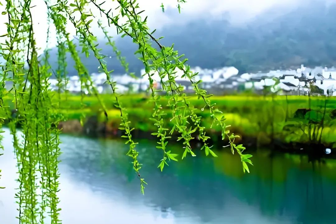 清明节诗句经典古诗10首，已抚慰世人千年