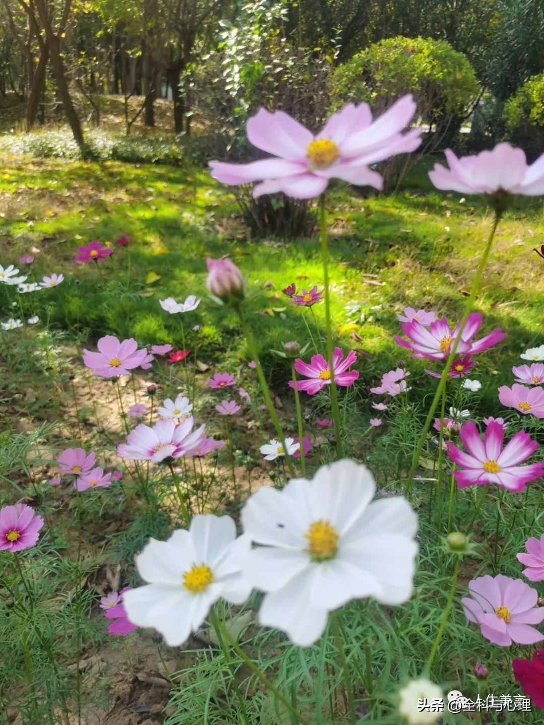 给团队打气激励的句子15句，一起逐梦前行