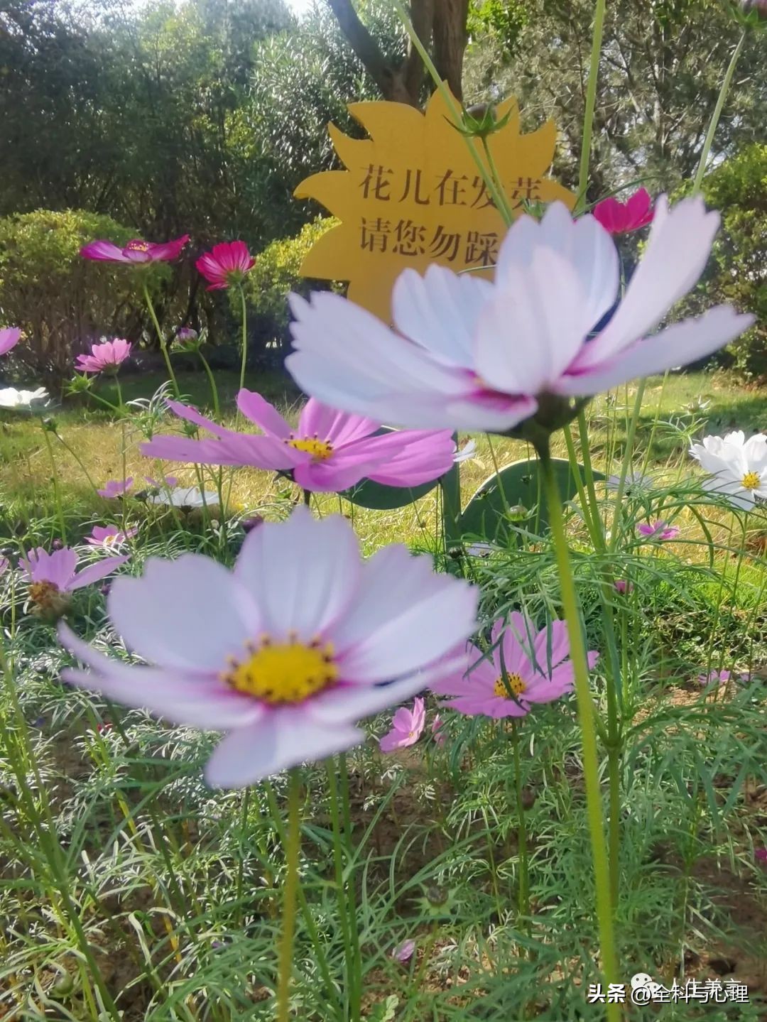 给团队打气激励的句子15句，一起逐梦前行