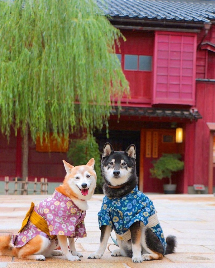 珍惜彼此感情的句子21句，相遇不易，且行且珍惜