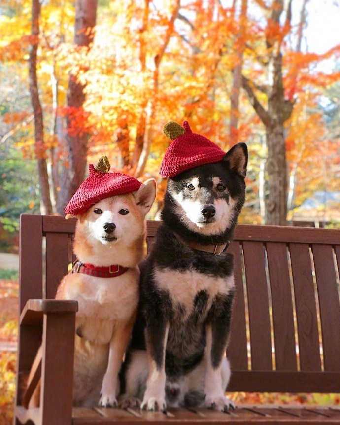 珍惜彼此感情的句子21句，相遇不易，且行且珍惜