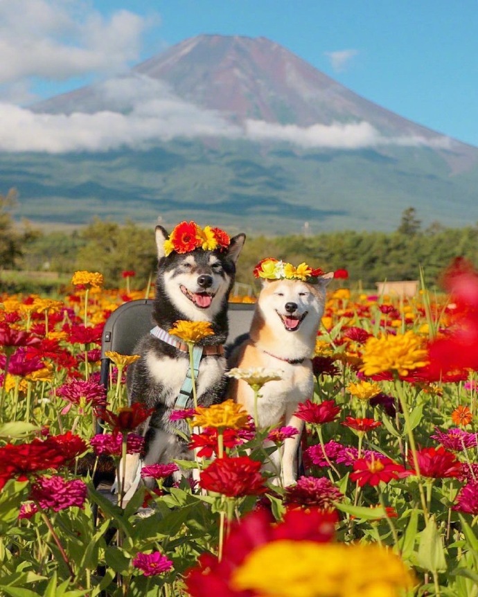 珍惜彼此感情的句子21句，相遇不易，且行且珍惜