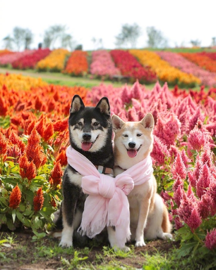 珍惜彼此感情的句子21句，相遇不易，且行且珍惜