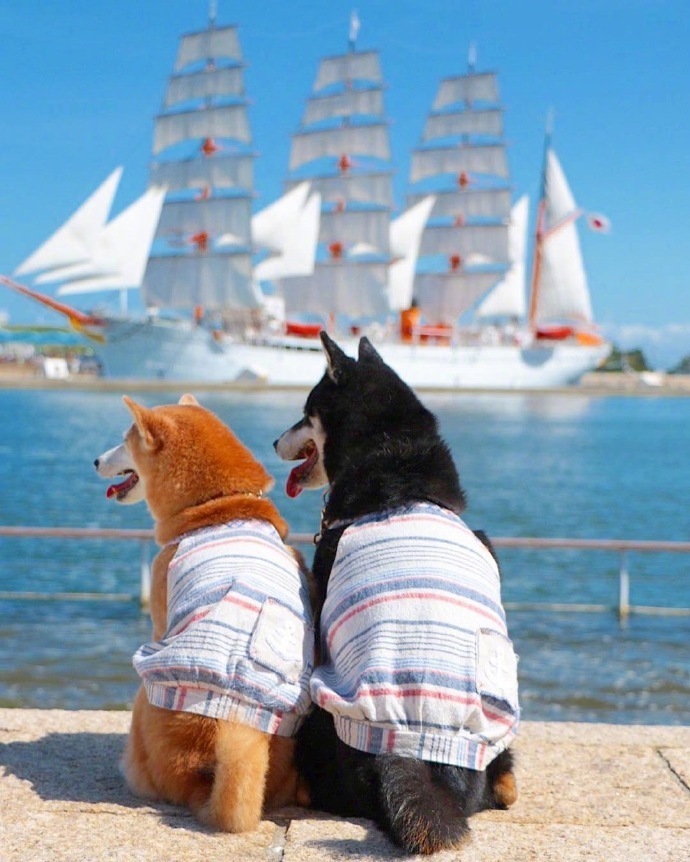 珍惜彼此感情的句子21句，相遇不易，且行且珍惜