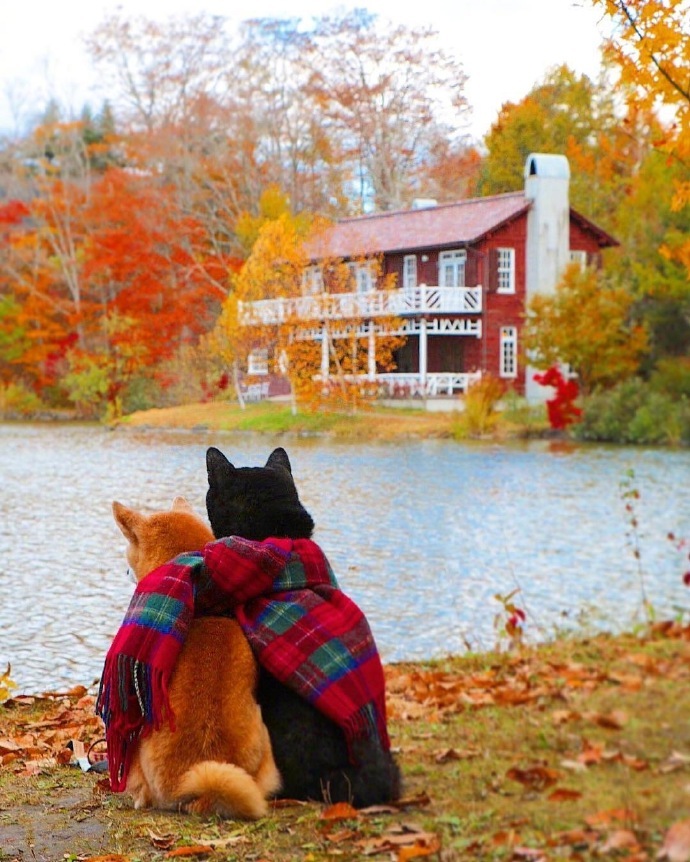 珍惜彼此感情的句子21句，相遇不易，且行且珍惜