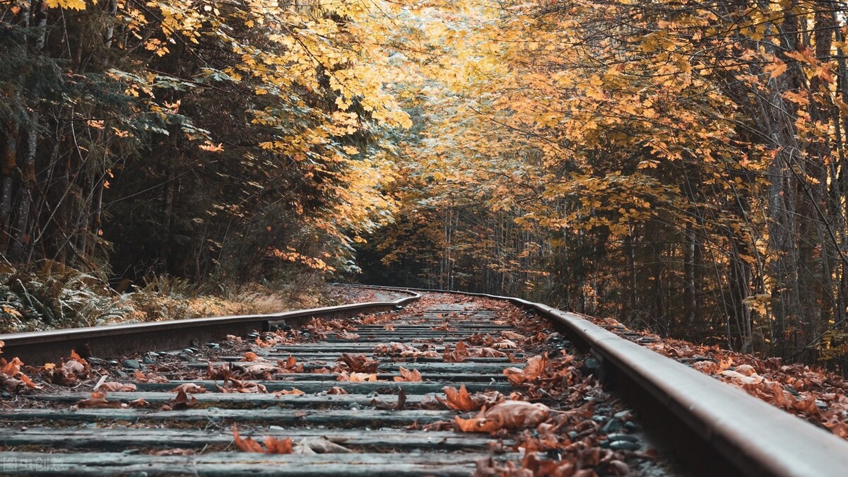 秋天感悟经典句子20句，秋天，令人心动的季节