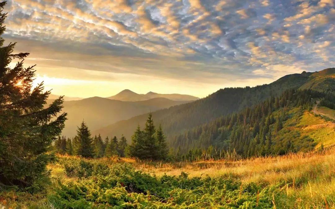 关于幸福的句子60句，让你重新发现生活的美好