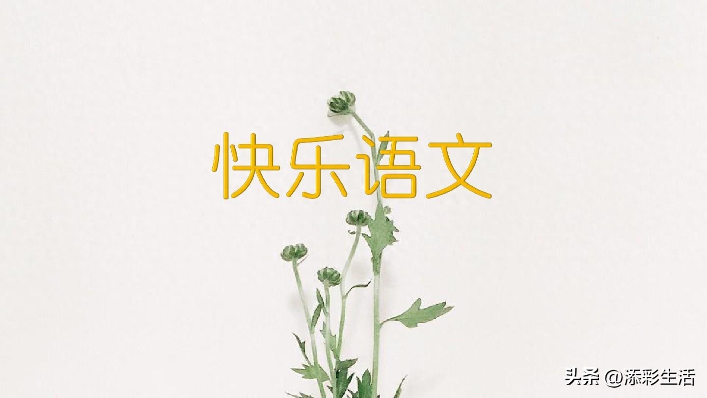 告别作文初中习作（汇总6篇）