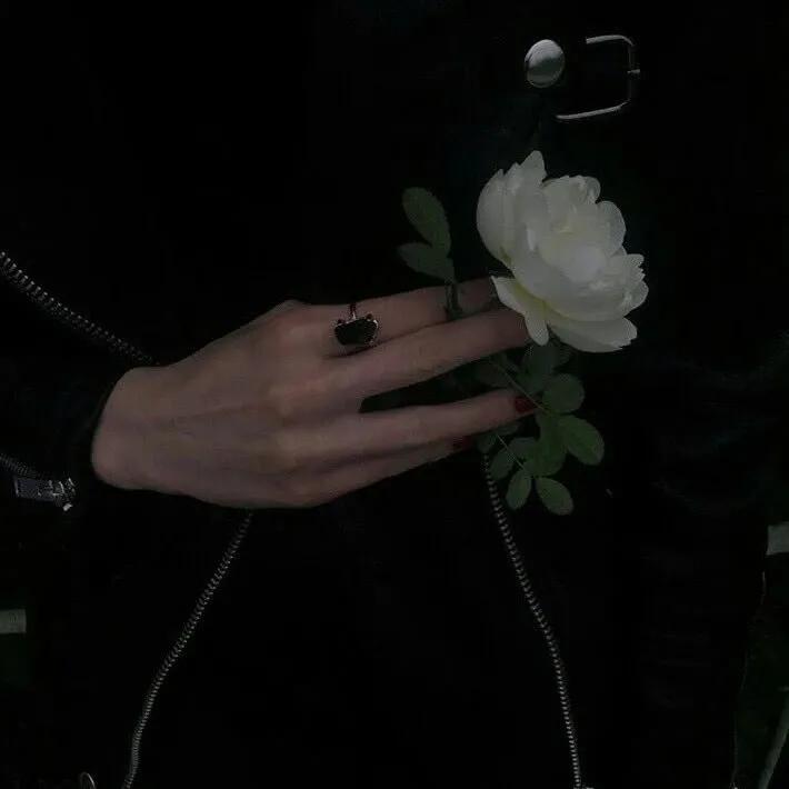 满满的回忆优美句子11句，走进那段渐行渐远的时光