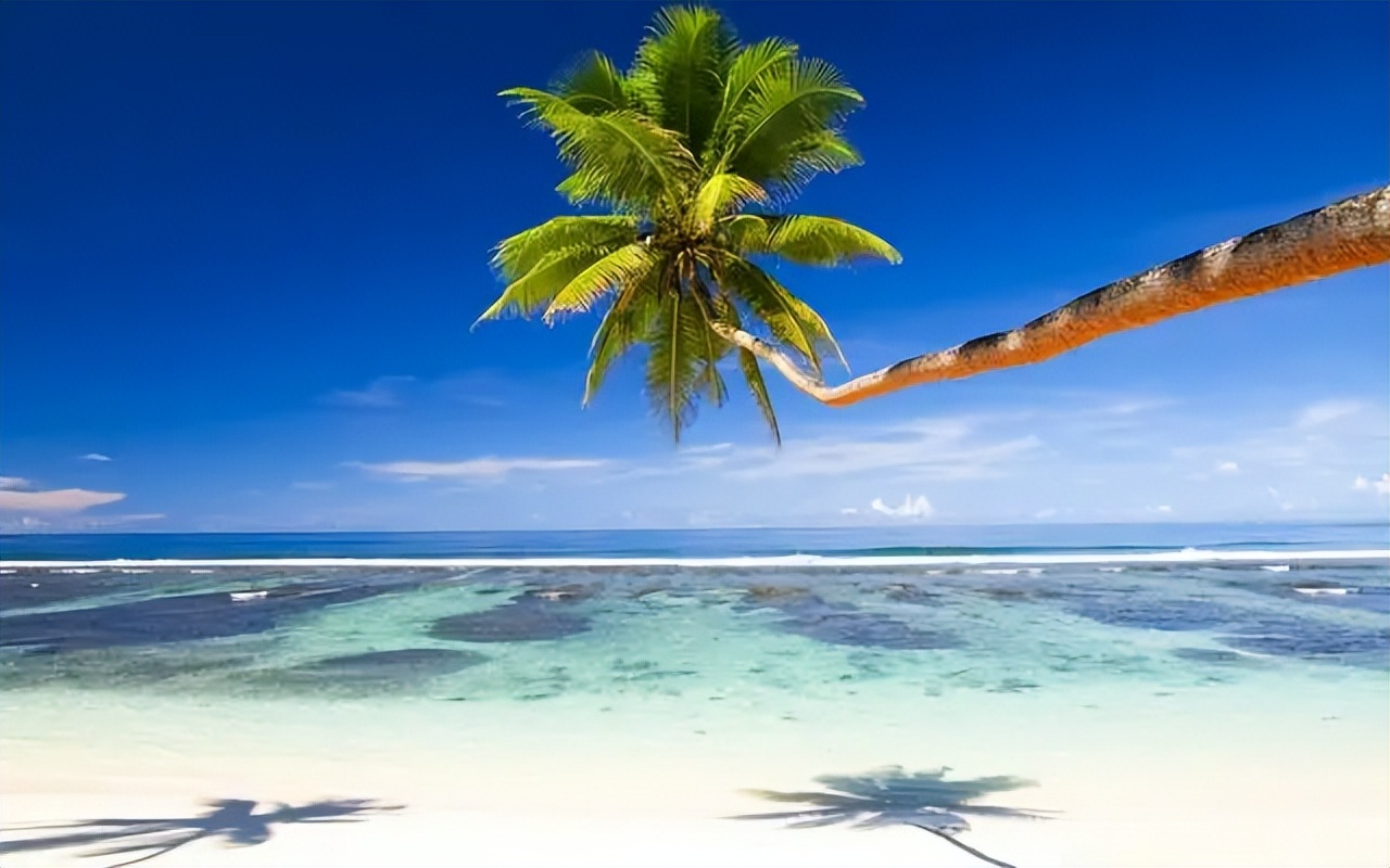 看透人心的悲凉句子20句，句句扎心!