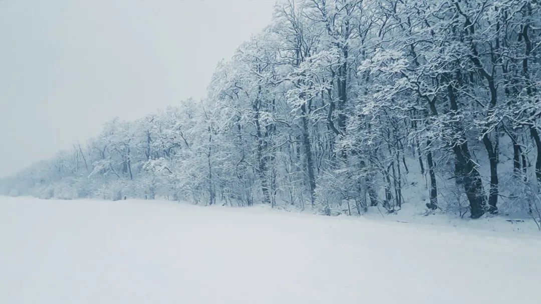 关于描写雪的诗句50句，唯美又浪漫!