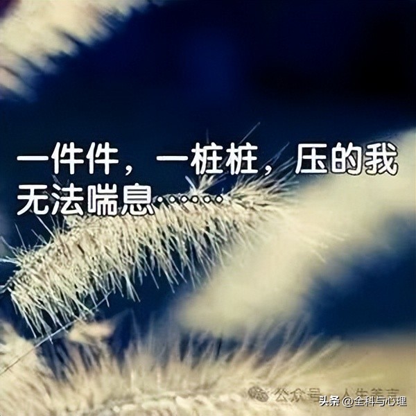 心情不好的文案14句，心累伤感的句子