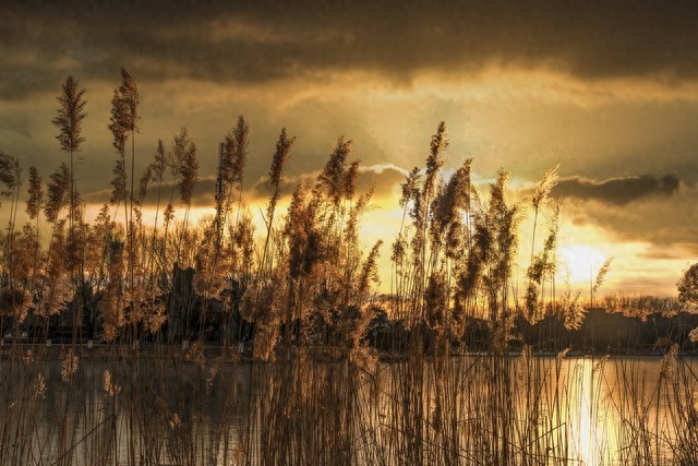 发朋友圈吸引人句子15句，点亮你的一天!