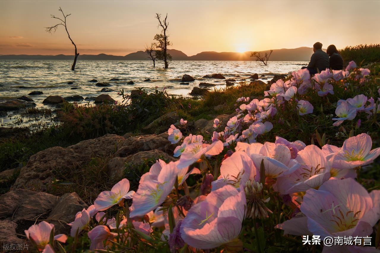 爱情语录经典句子24句，总有一句触动你