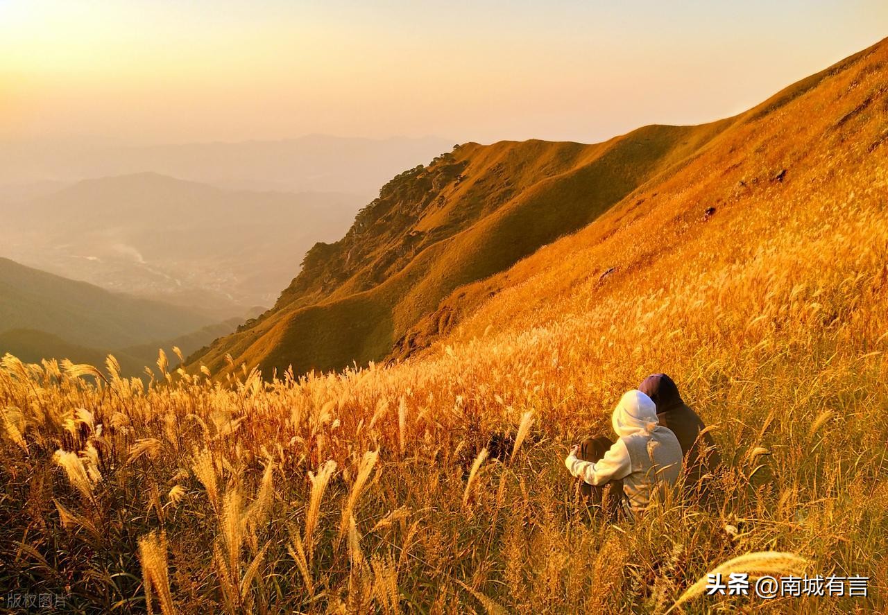 爱情语录经典句子24句，总有一句触动你