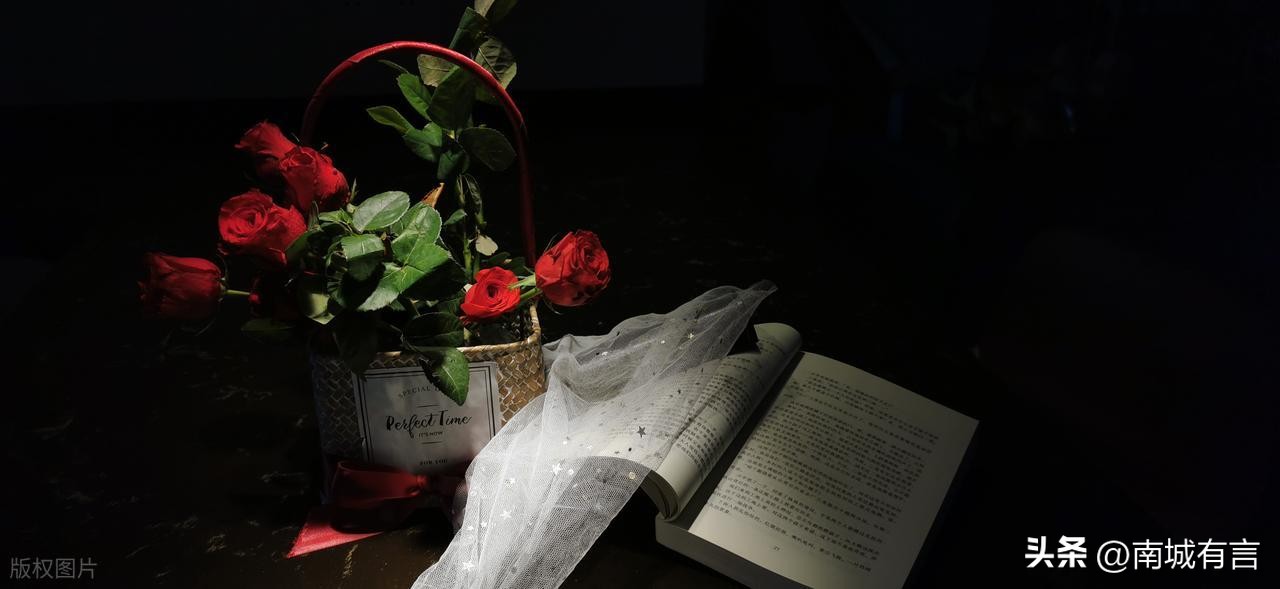 爱情语录经典句子24句，总有一句触动你