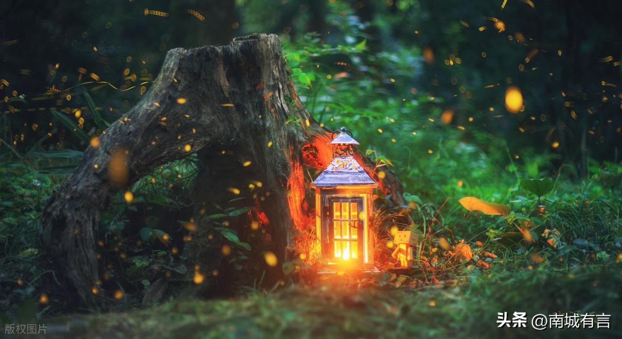 爱情语录经典句子24句，总有一句触动你