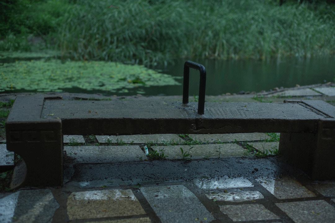 听雨的经典诗句15首，枕书同听雨声眠