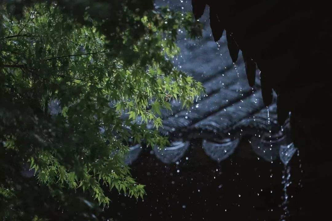 听雨的经典诗句15首，枕书同听雨声眠