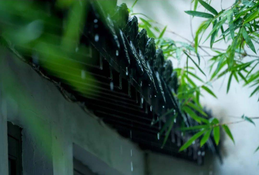 听雨的经典诗句15首，枕书同听雨声眠