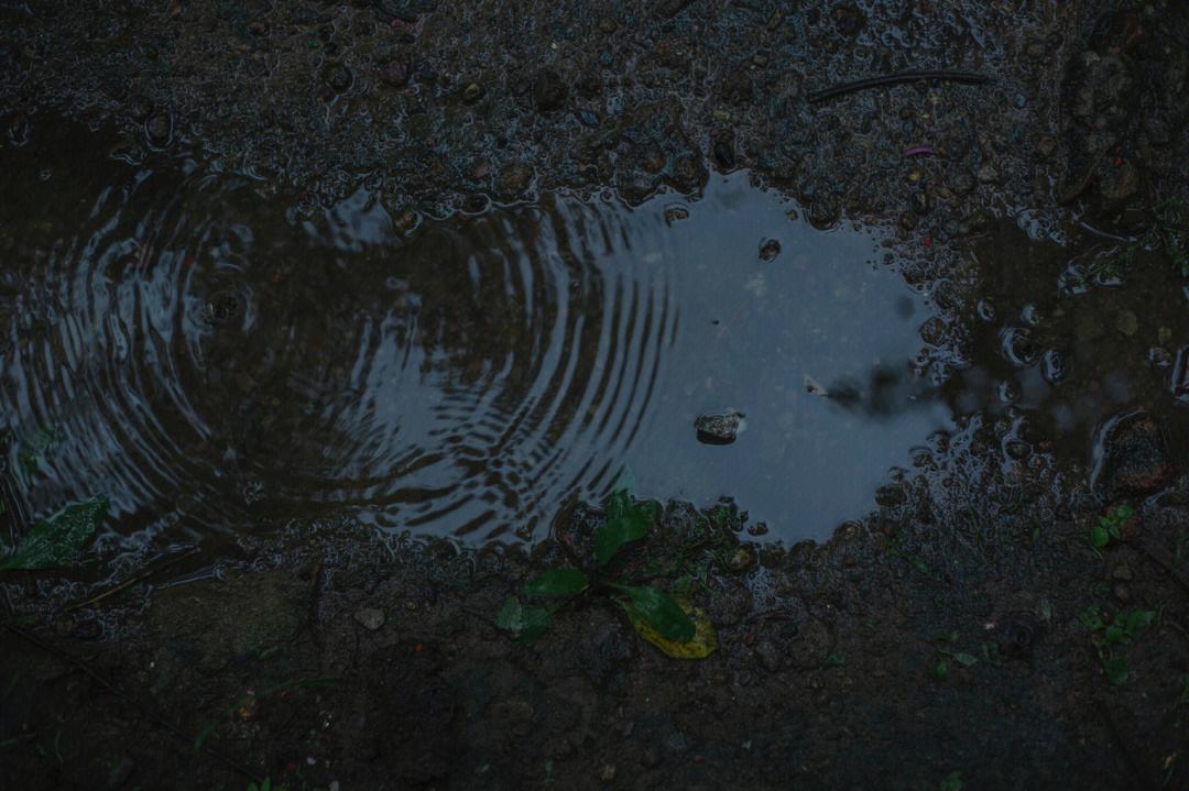 听雨的经典诗句15首，枕书同听雨声眠