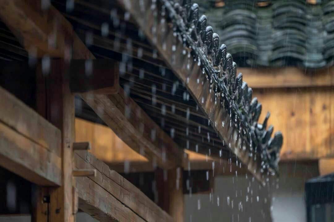 听雨的经典诗句15首，枕书同听雨声眠