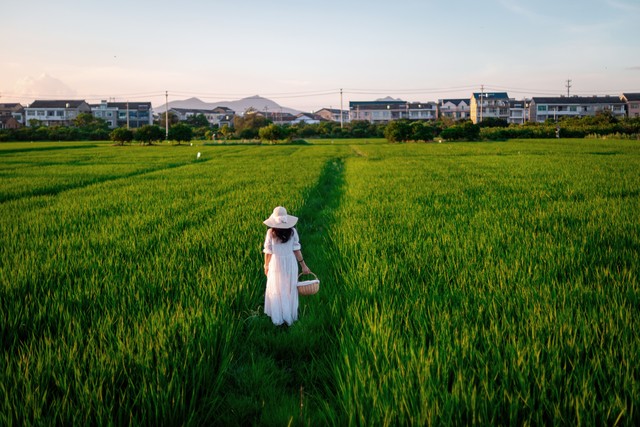 感受乡村气息句子18句，让你心醉神往