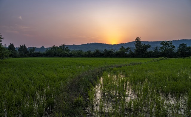 感受乡村气息句子18句，让你心醉神往