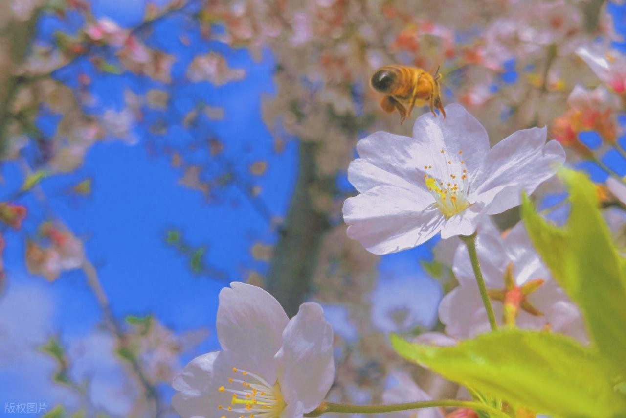 最经典的人生格言24句，读懂受益一生