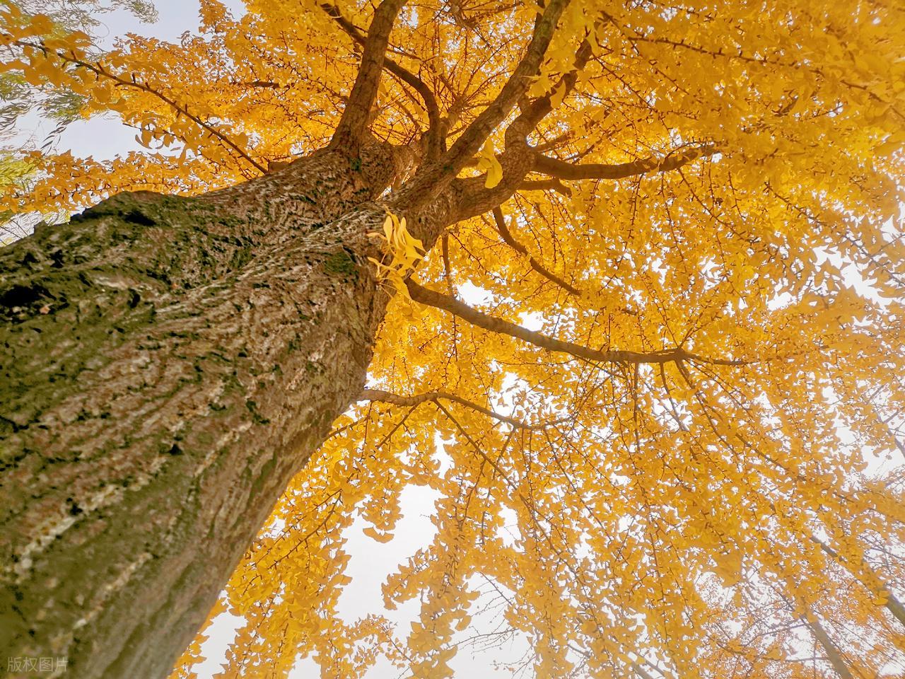 最经典的人生格言24句，读懂受益一生