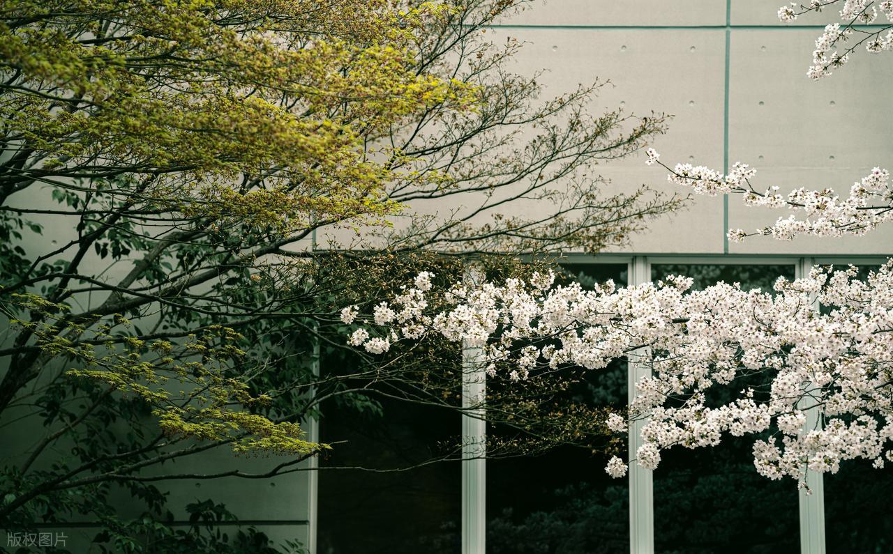 最经典的人生格言24句，读懂受益一生