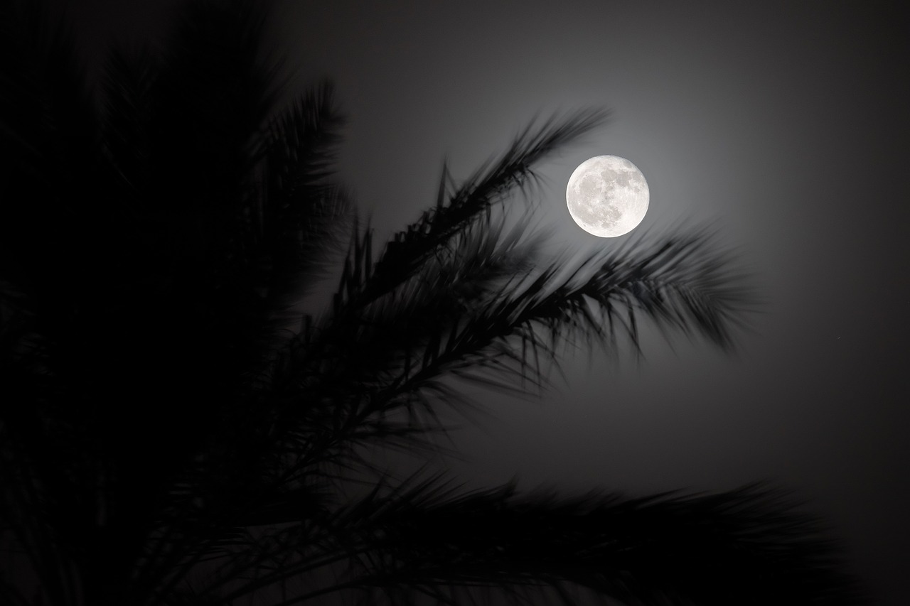 关于月亮的诗句10句，字字唯美，千古流传