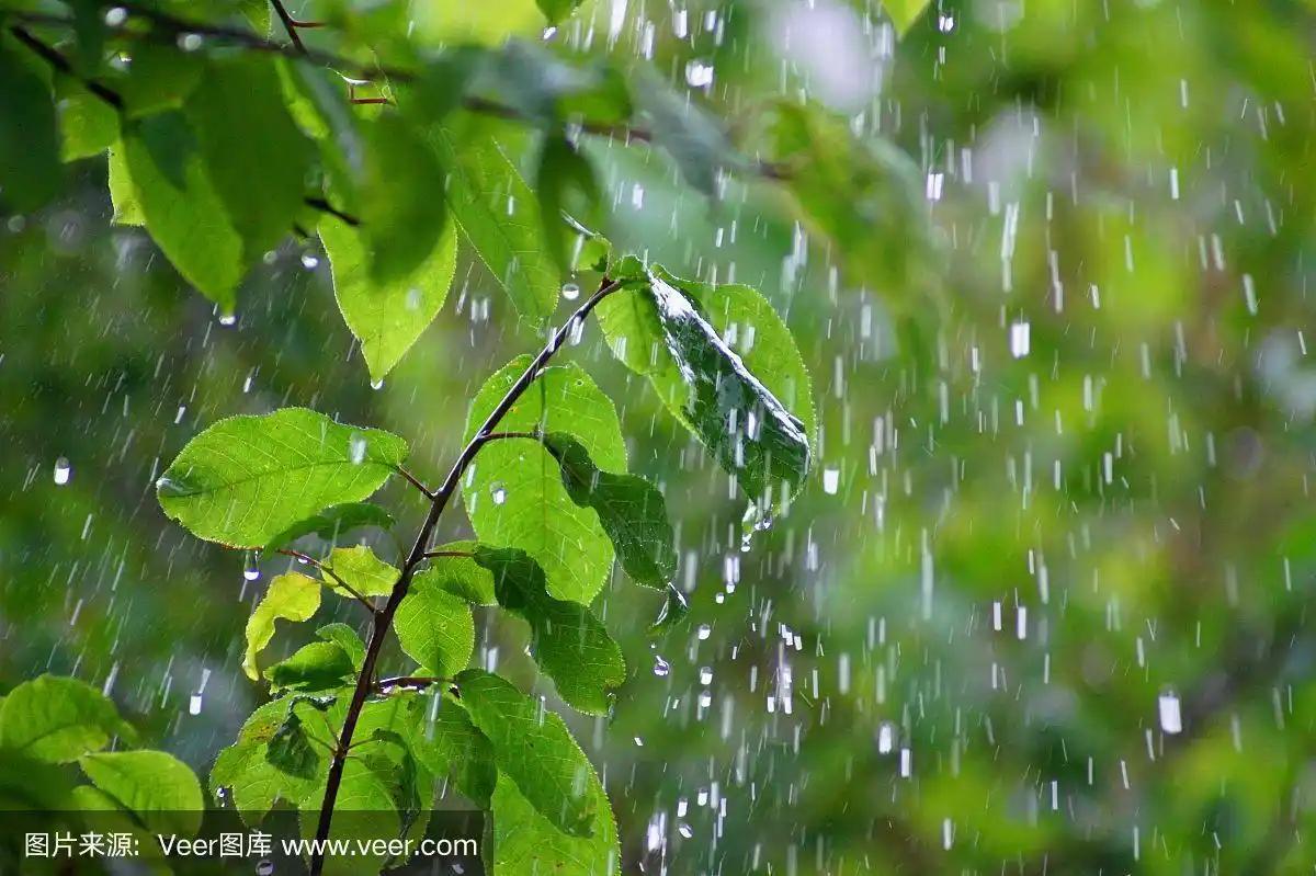 关于春天的诗句20句，领略春天的魅力和浪漫