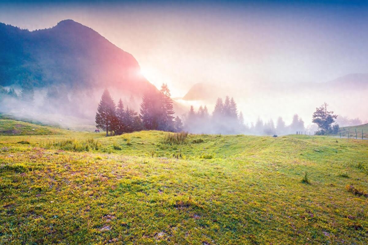 自己生日祝福语25句，有深度有品味!