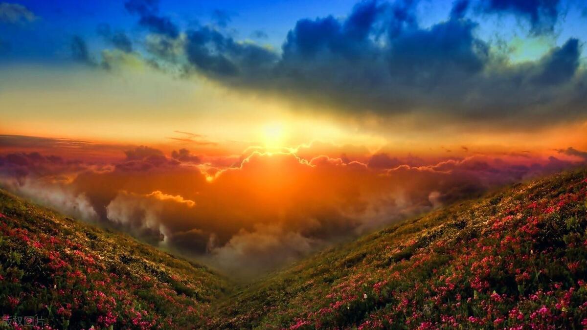 自己生日祝福语25句，有深度有品味!