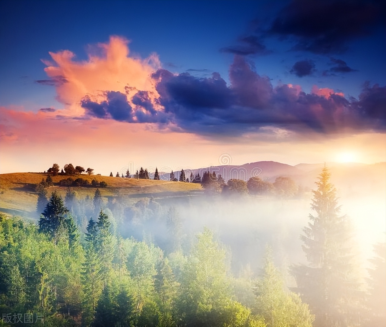 自己生日祝福语25句，有深度有品味!