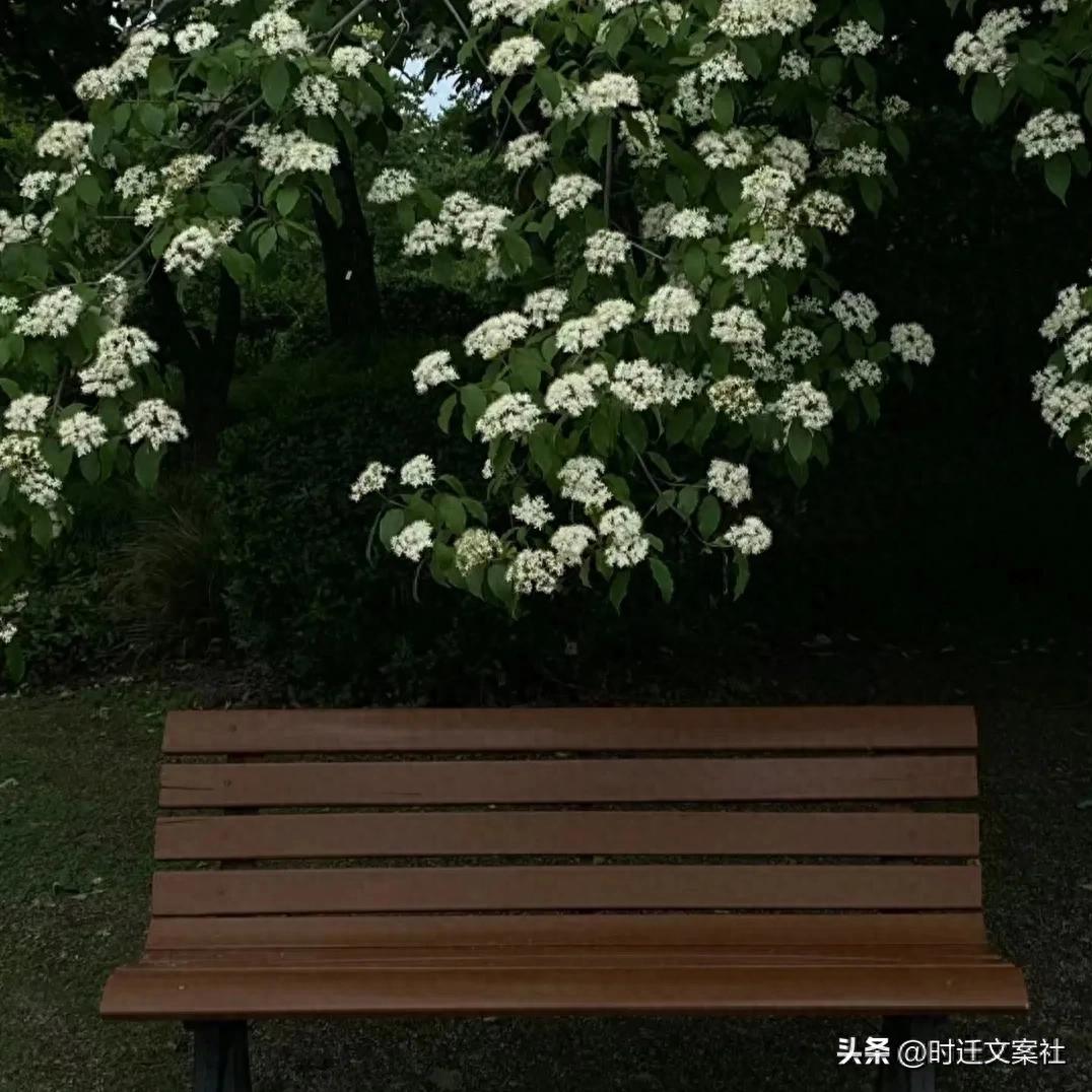 适合发朋友圈的短句子20句，句句经典，振奋人心