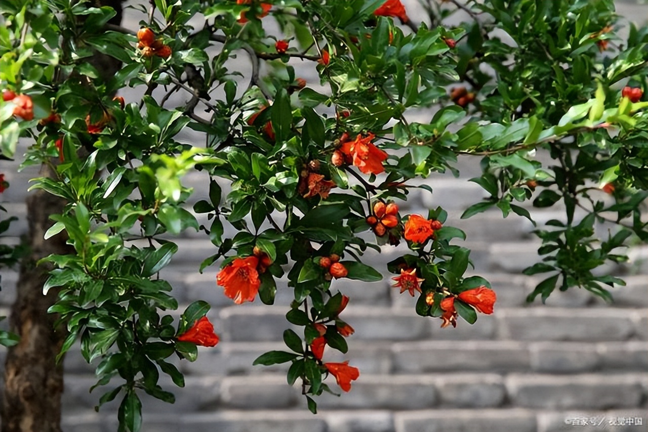 关于夏天的诗8首（原文、释义及赏析）