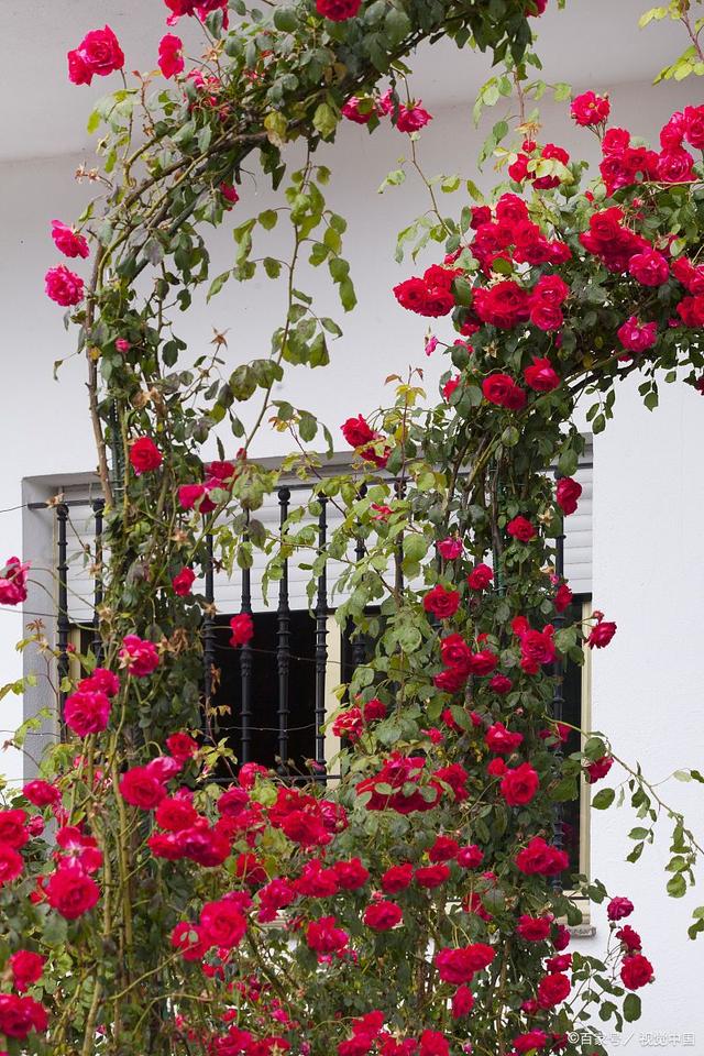 关于夏天的诗8首（原文、释义及赏析）