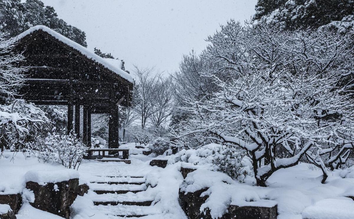 描写雪景的唯美诗句8首，惊艳了整个冬天
