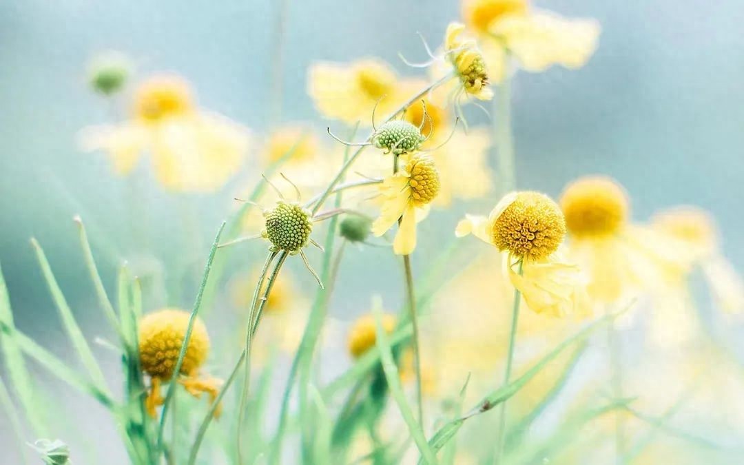 关于人生的名言名句33句，让你看穿人生