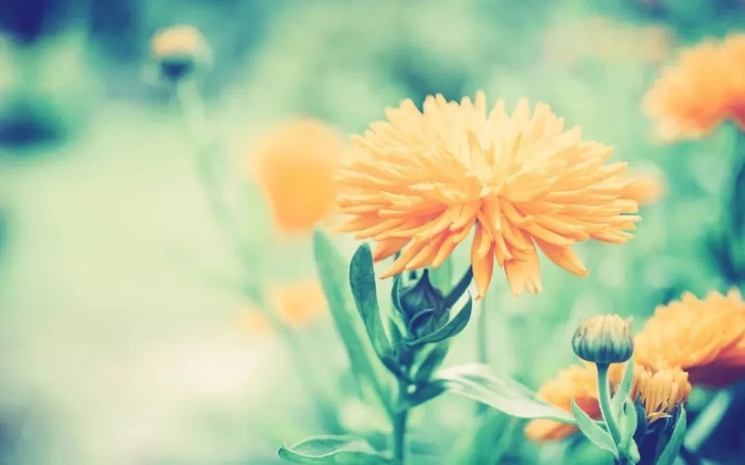 关于人生的名言名句33句，让你看穿人生