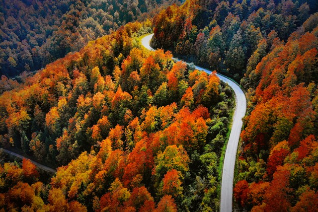 描写秋天景色优美句子19句，解锁秋天的美好