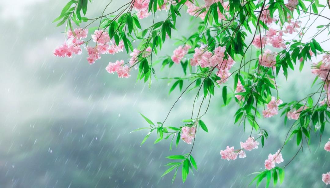 描写春天的诗词佳句200句，感受墨香中的春意盎然