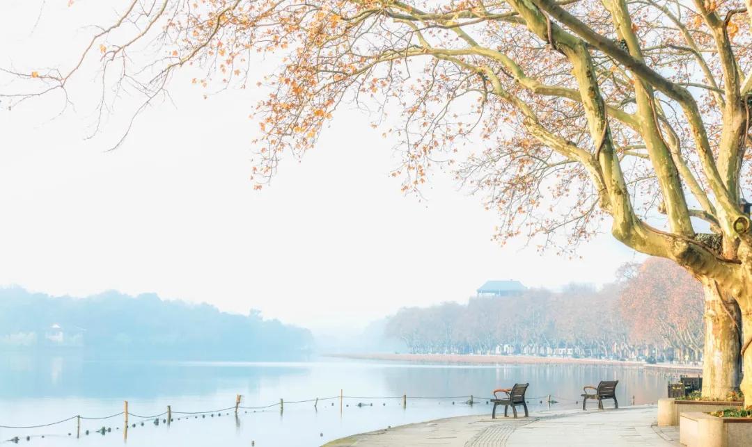 描写冬天景色的优美诗句48首，治愈了整个冬天