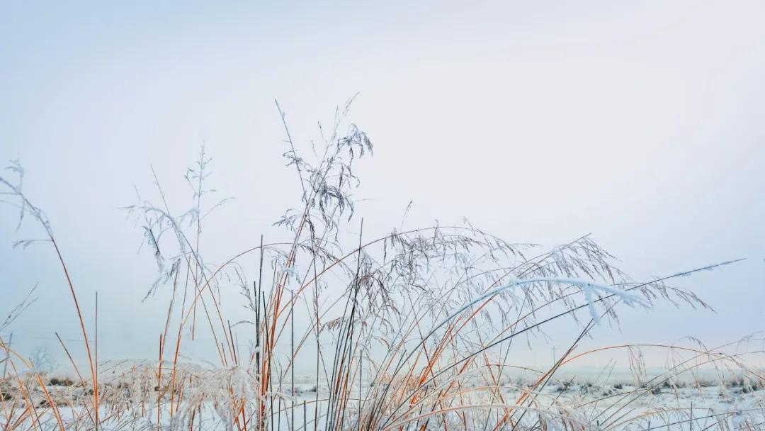 描写冬天景色的优美诗句48首，治愈了整个冬天