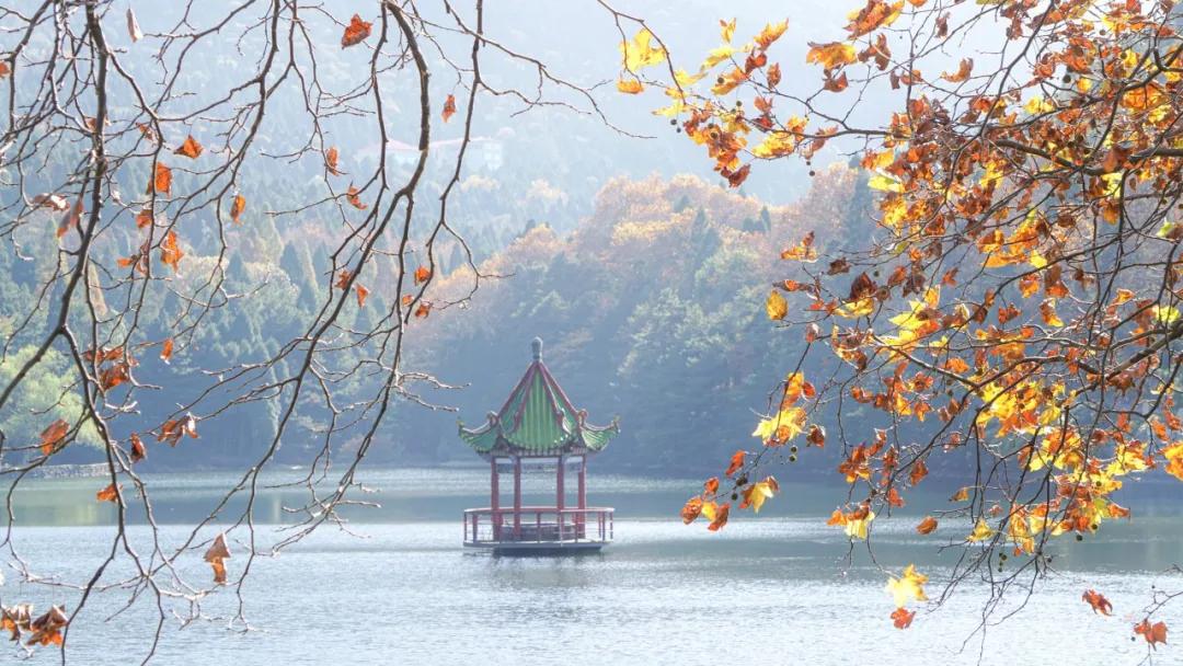 描写冬天景色的优美诗句48首，治愈了整个冬天