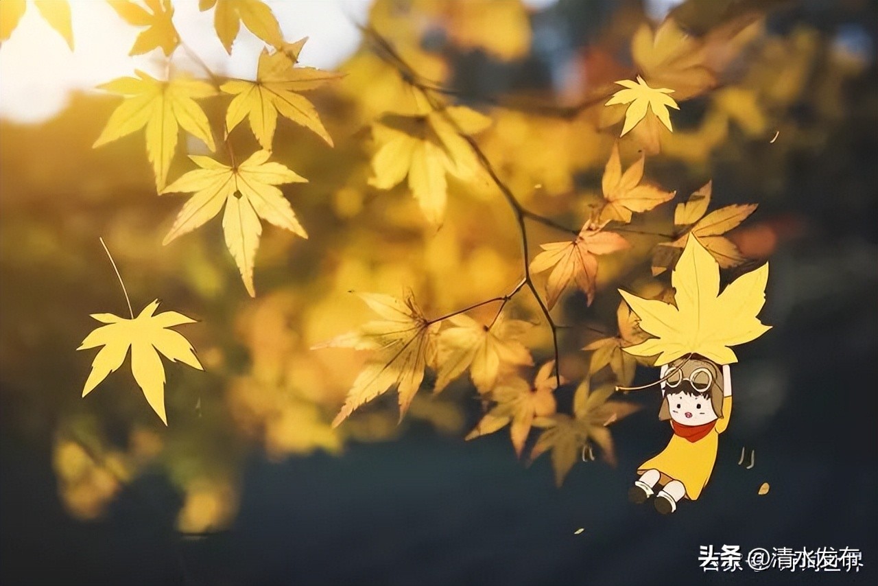 关于秋天的诗词名句10首，正是清秋好风光