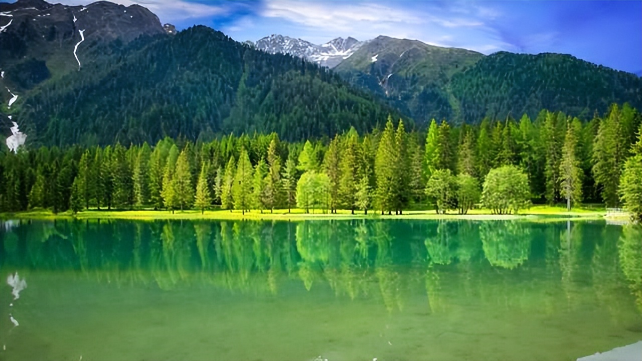 梦想的句子唯美短句20句，唤醒你的奋斗之力!