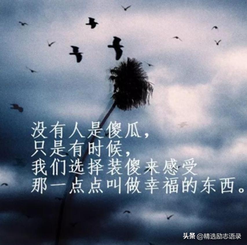 人生感悟经典句子20句，句句智慧豁达!